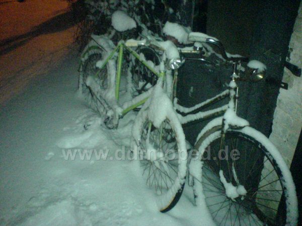 Angef�gtes Bild