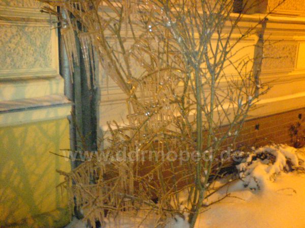 Angef�gtes Bild
