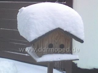 Angefgtes Bild