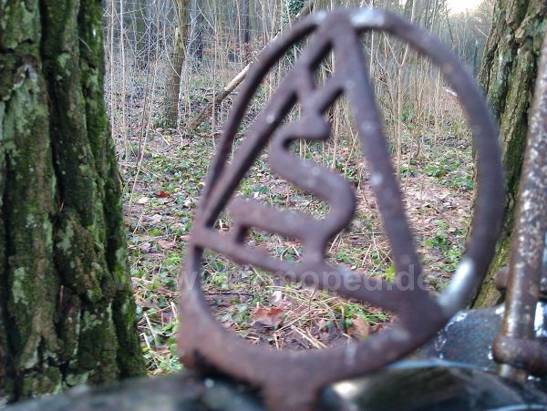 Angef�gtes Bild