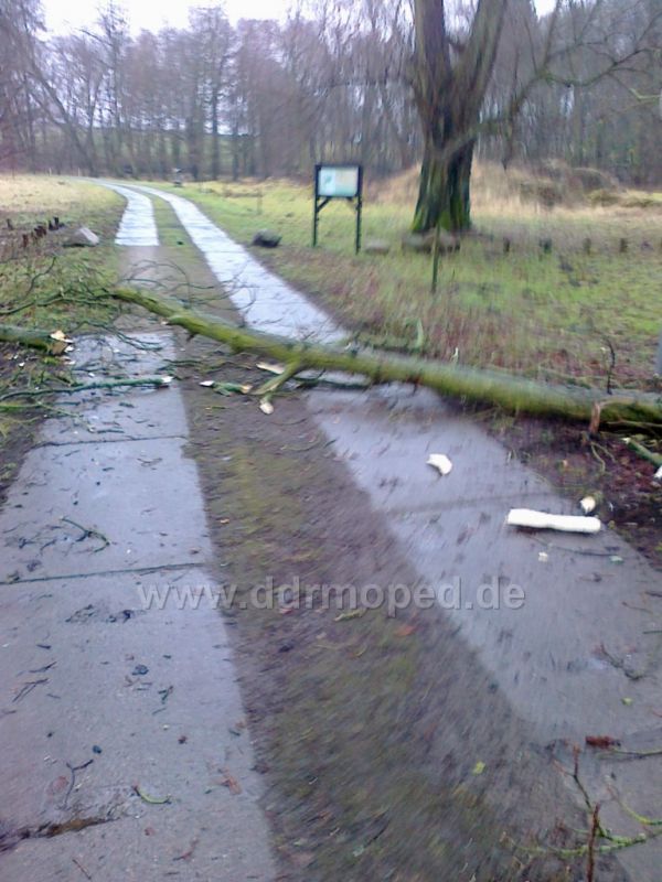 Angefgtes Bild