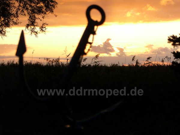 Angef�gtes Bild