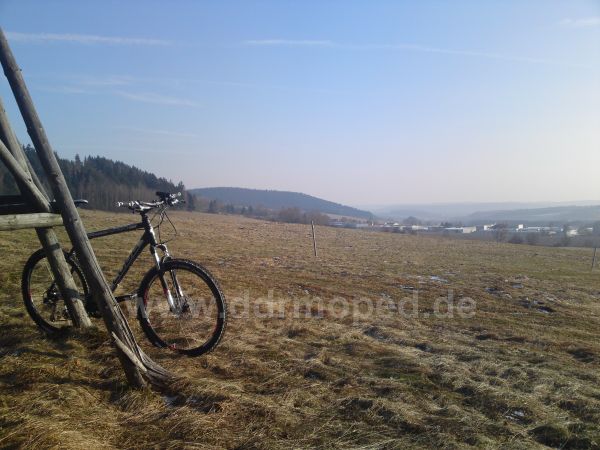 Angef�gtes Bild