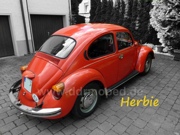 Angef�gtes Bild