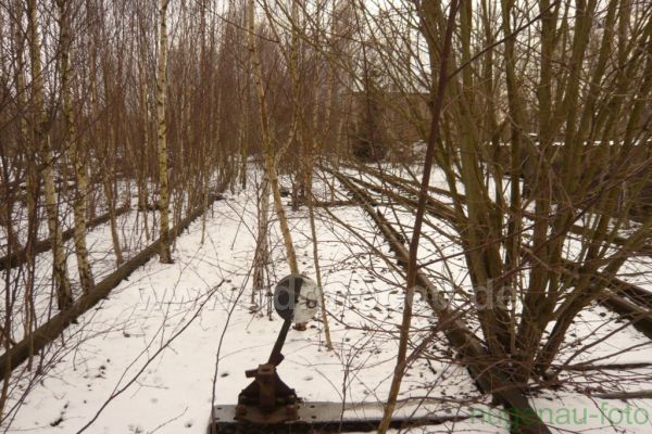 Angef�gtes Bild