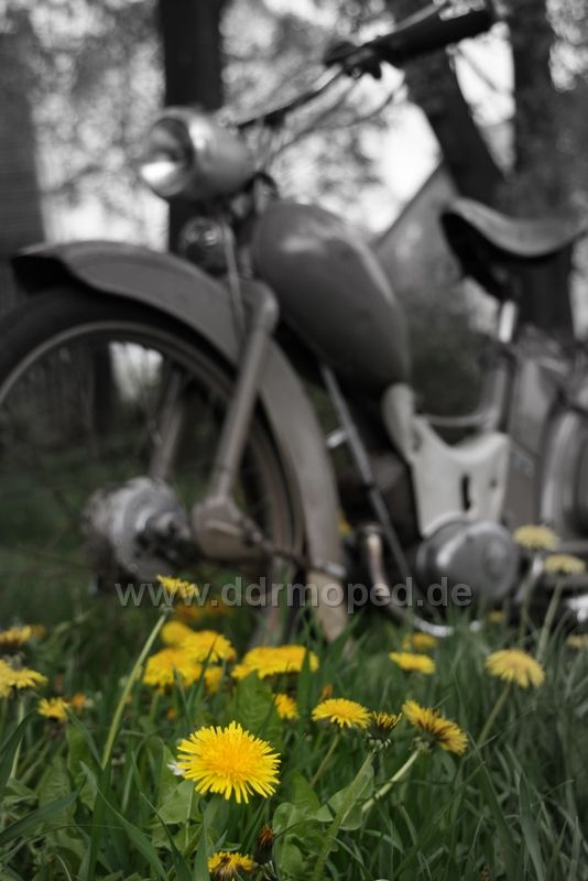 Angef�gtes Bild
