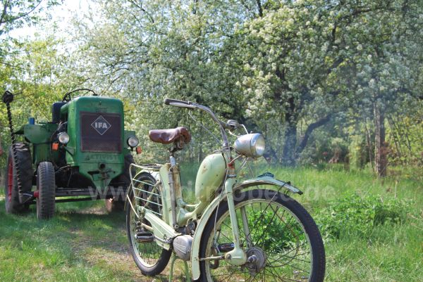 Angef�gtes Bild