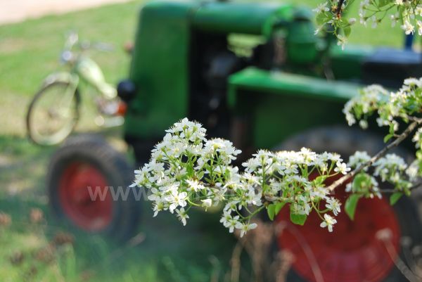 Angef�gtes Bild