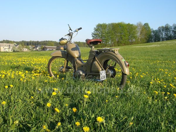Angef�gtes Bild