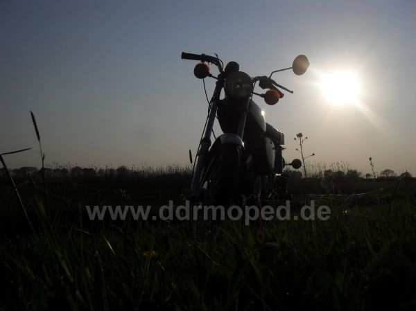 Angef�gtes Bild