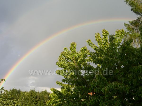 Angef�gtes Bild