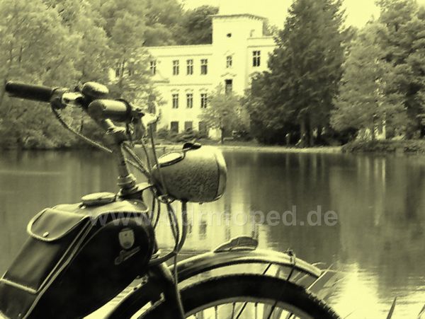 Angef�gtes Bild