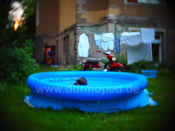 Angef�gtes Bild
