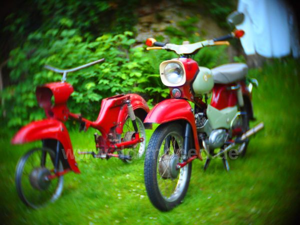 Angef�gtes Bild