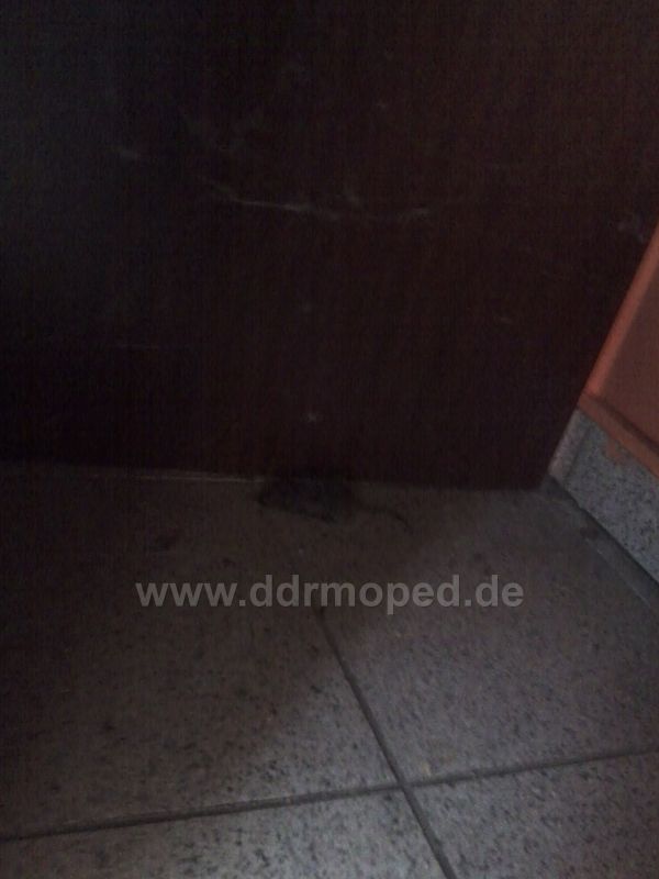 Angefgtes Bild