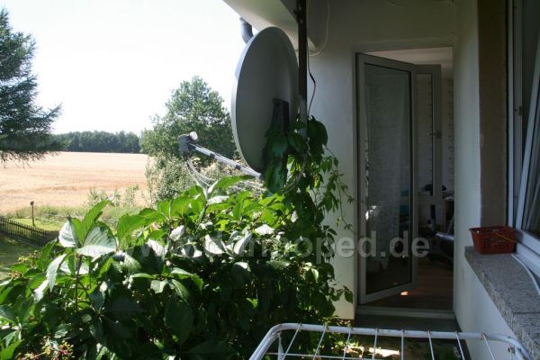 Angefügtes Bild