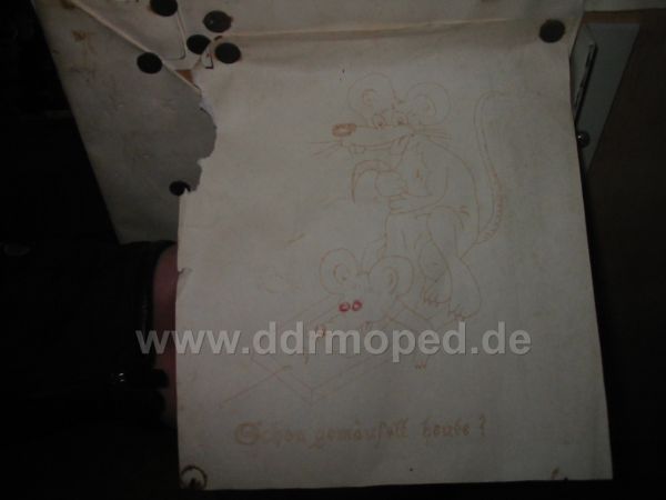 Angefgtes Bild