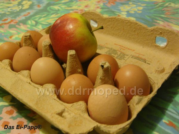 Angefgtes Bild