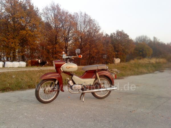 Angefügtes Bild