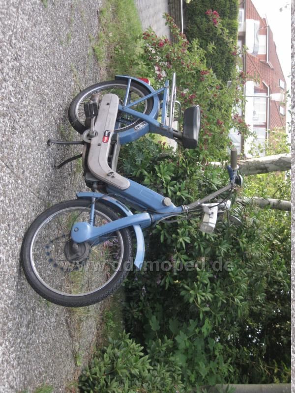 Angefügtes Bild