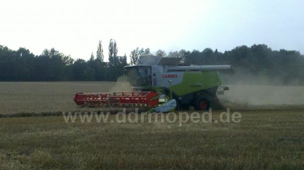 Angef�gtes Bild