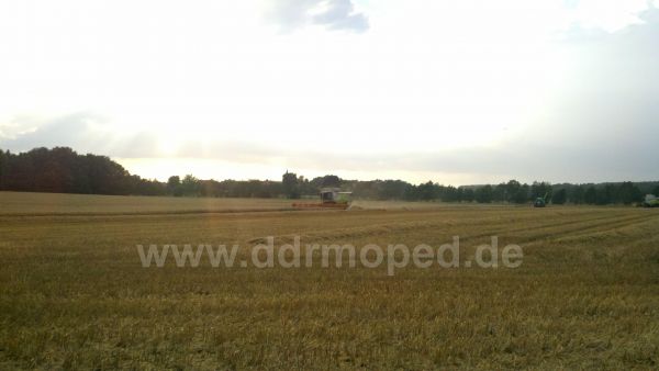 Angef�gtes Bild