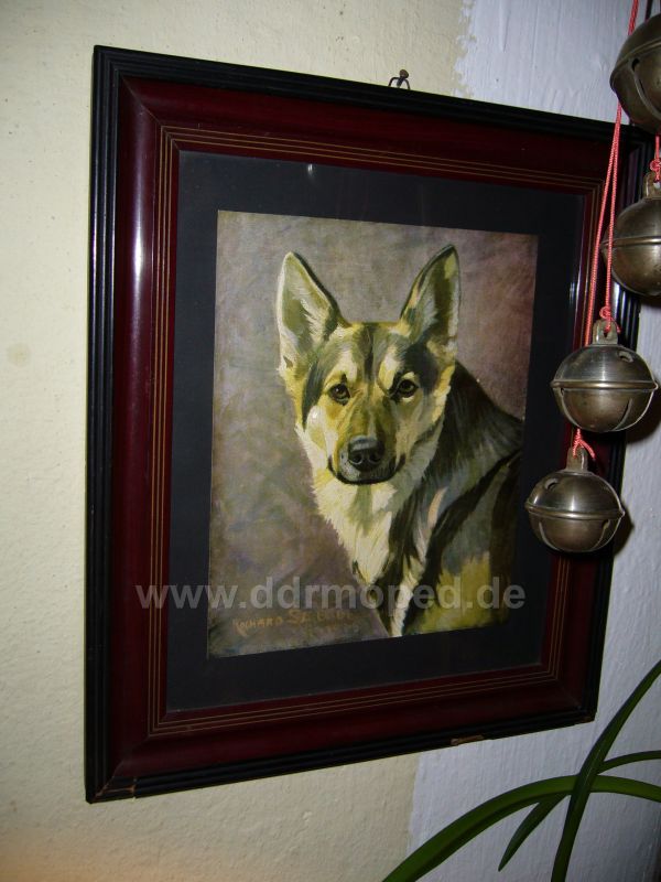 Angefügtes Bild