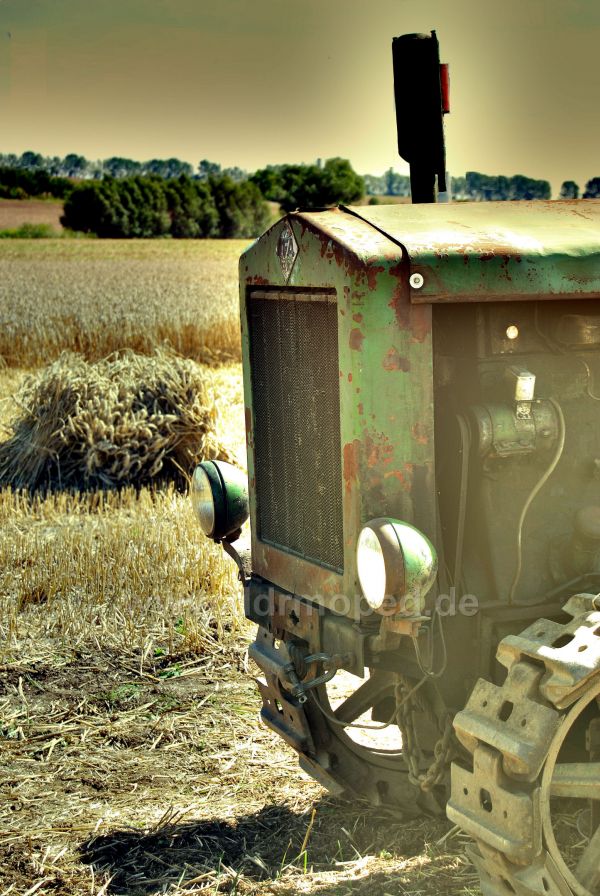 Angefgtes Bild