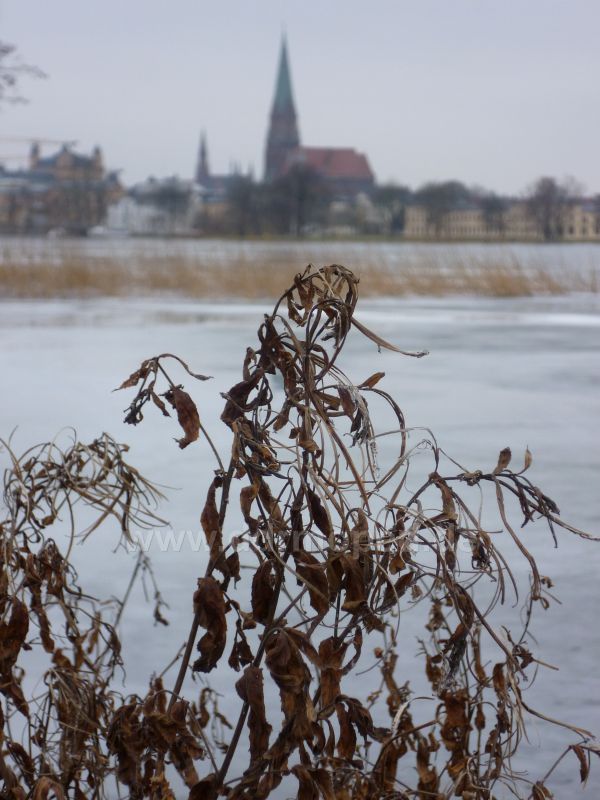 Angefgtes Bild