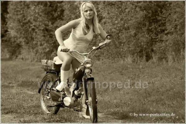 Angefgtes Bild
