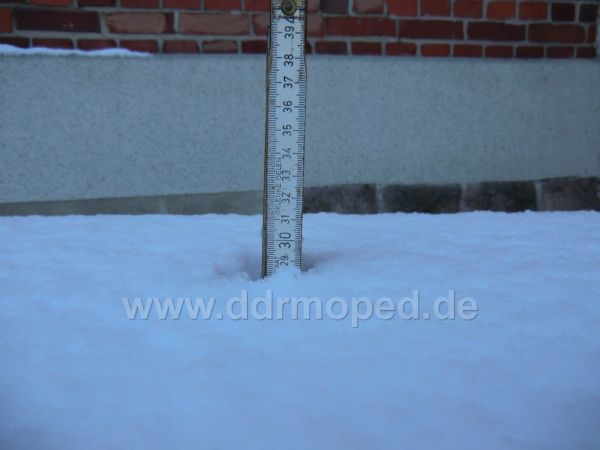 Angefgtes Bild