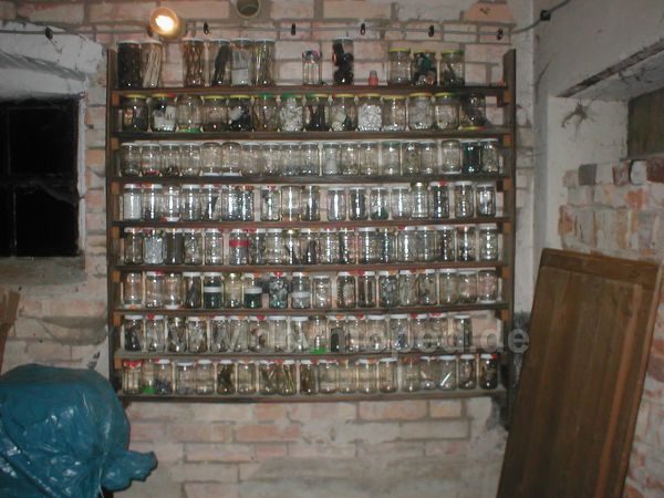Angef�gtes Bild