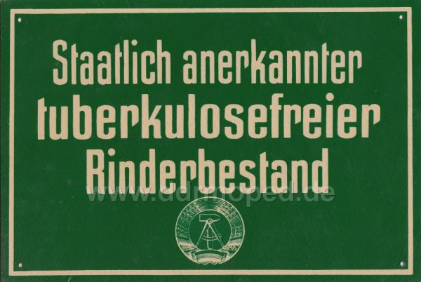 Angefgtes Bild