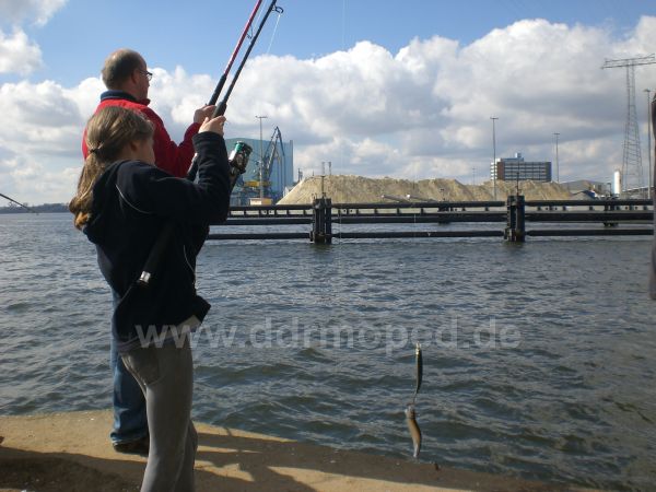 Angefgtes Bild