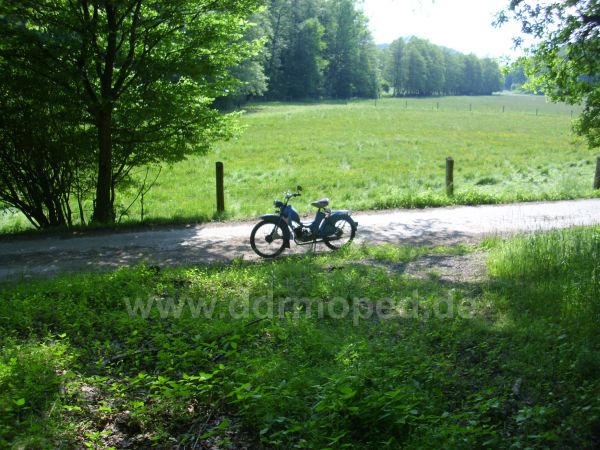 Angefgtes Bild