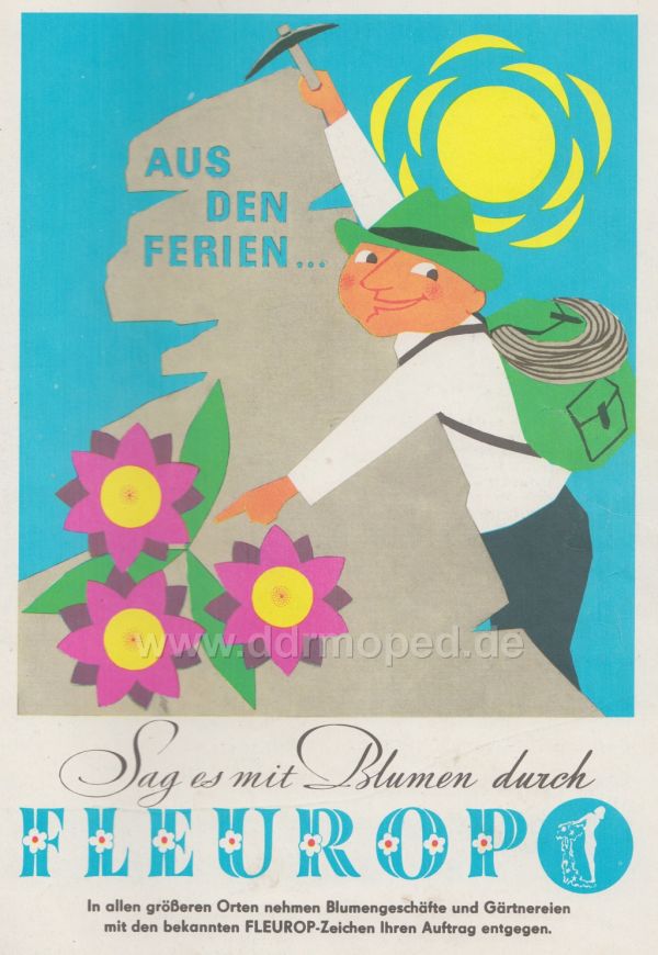 Angefgtes Bild
