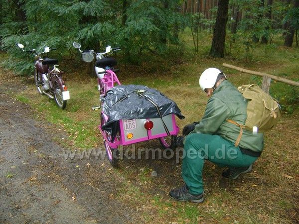 Angefügtes Bild
