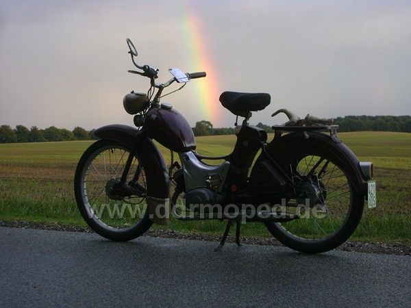 Angefgtes Bild