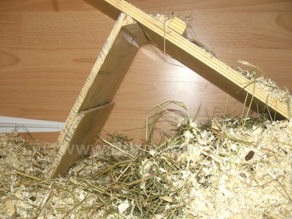 Angefgtes Bild