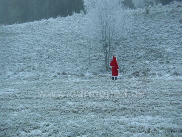 Angefgtes Bild