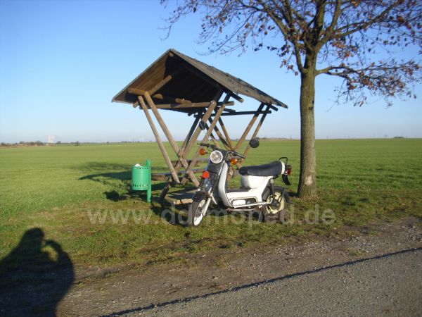 Angefgtes Bild