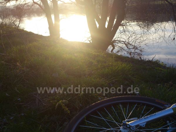 Angefgtes Bild