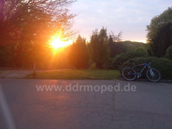 Angefgtes Bild