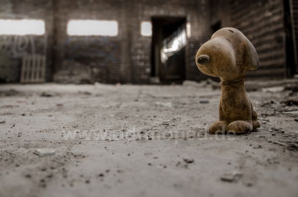 Angefgtes Bild