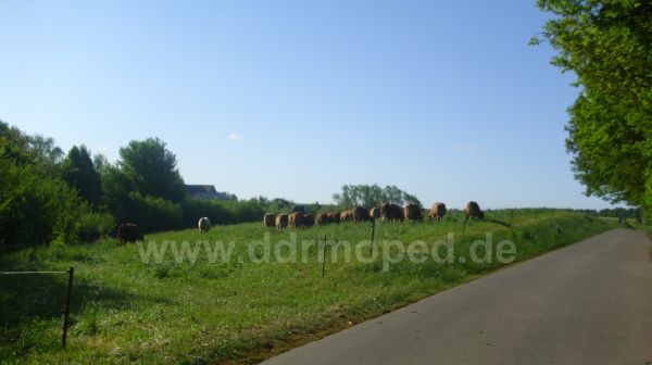 Angefügtes Bild