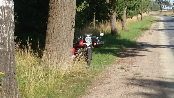 Angefgtes Bild