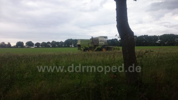 Angefgtes Bild