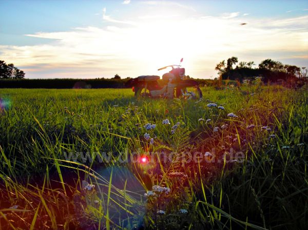 Angefgtes Bild