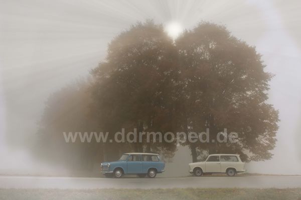 Angefgtes Bild