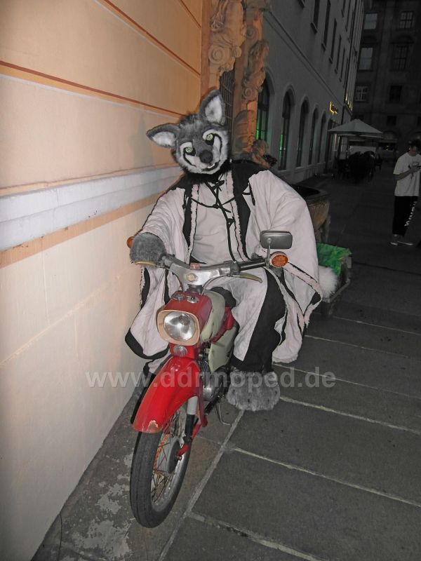 Angefgtes Bild